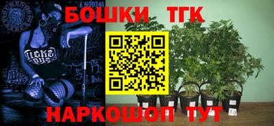 крисы Будённовск