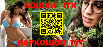 крисы Будённовск