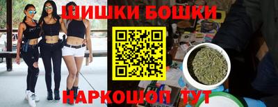крисы Будённовск