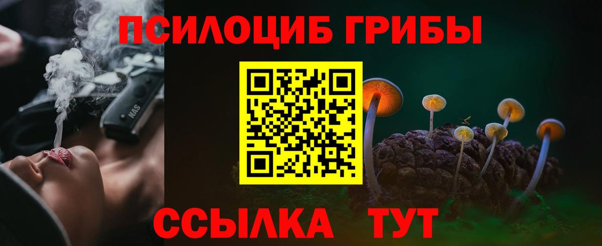 Минеральные Воды  Псилоцибиновые грибы GOLDEN TEACHER  Вход с VPN 